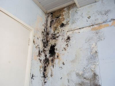 About water damage restoration service - emergency water extraction services experts in Freeport